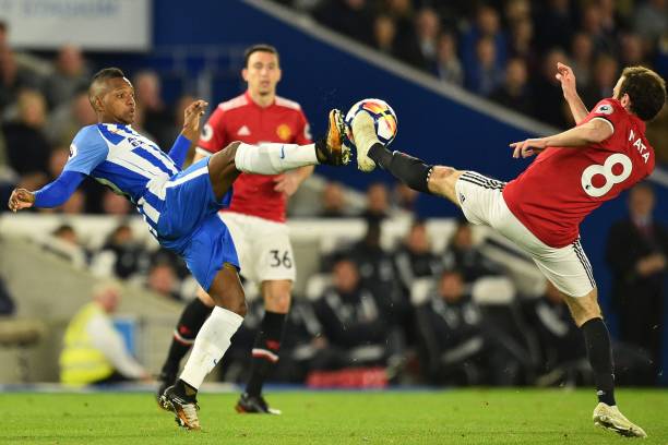 增添了更多 增添了更多